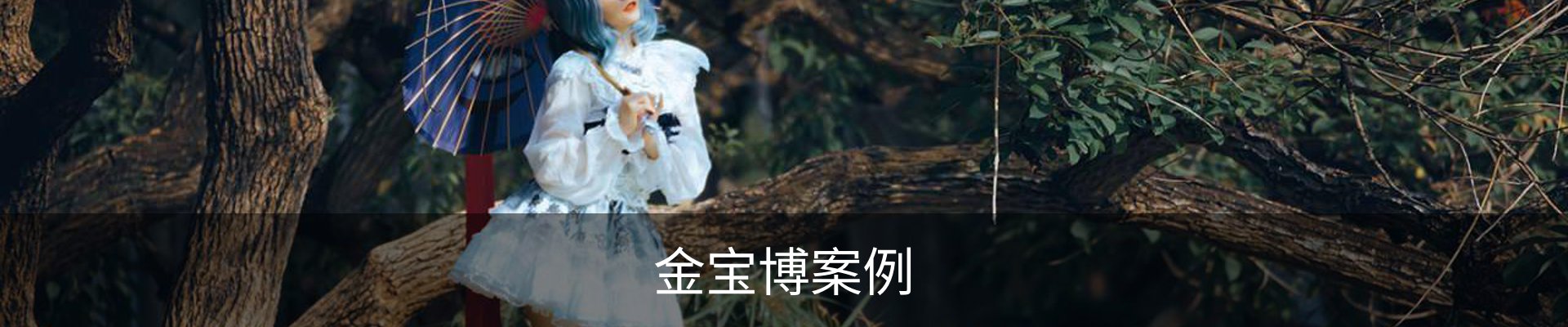 金宝博案例